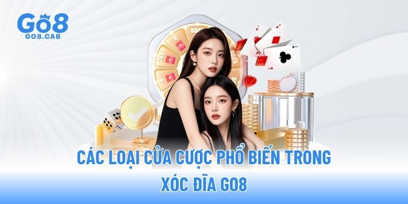 Các loại cửa cược phổ biến trong xóc đĩa GO8
