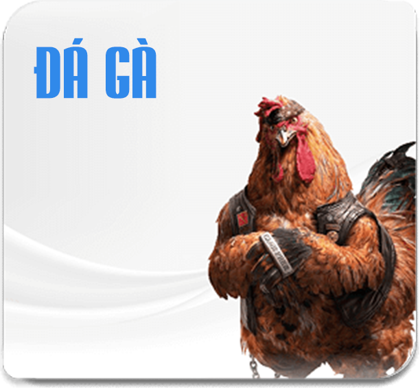 cockfight-banner