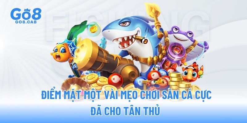 Điểm mặt một vài mẹo chơi săn cá cực đã cho tân thủ 