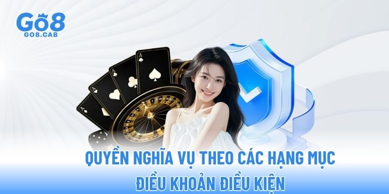 Quyền nghĩa vụ theo các hạng mục điều khoản điều kiện