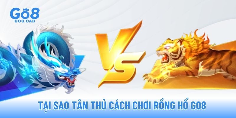 Tại sao tân thủ cách chơi Rồng Hổ GO8
