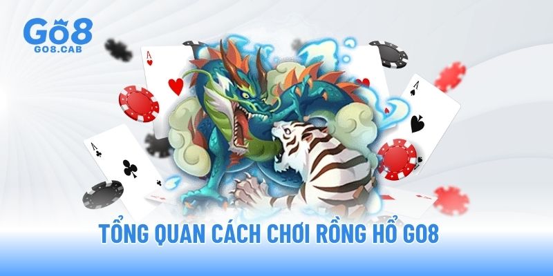 Tổng quan cách chơi Rồng Hổ GO8